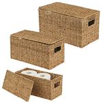 mDesign Natural Woven Seagrass Closet Storage Organizer Basket Bin with Removeable Lids to use in Closet, Bedroom, Bathroom, Entryway, Office - Set of 3 - Natural Finish