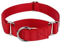 Country Brook Design Martingale Heavyduty Nylon Dog Collar-Red-S