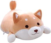 Shiba Inu 