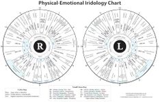 Iridology Chart - Physical & Emotio