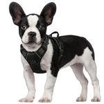 rabbitgoo Dog Harness Small Dog No Pull Pet Harness with 2 Leash Clips, Adjustable Soft Padded Pet Vest Harness, Reflective No-Choke with Easy Control Handle for Training or Walking, Black, S