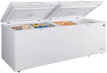 Kenmore 21 Cu. Ft. (595L) Convertib