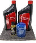 Honda Genuine 08207-10W30 Oil Change Kit w/Oil pad 10W-30 Oil and Fuel Treatment