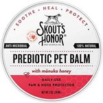 SKOUT'S HONOR Prebiotic Pet Balm - 100% Natural and Made with Manuka Honey, Soothes Dry, Itchy Paws and Noses - Safe for Cats and Dogs, 2oz