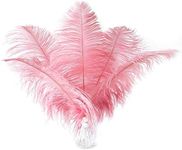 Ballinger Lotus Pink Ostrich Feathe