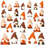 Wonderjune 60 Pcs Mini Gnomes Fairy Resin Statues Miniature Gnomes Miniature Gnome Figurines for Landscape Outdoor Patio Yard Lawn Indoor Plant Pots Fairy Decor (Resin Coffee Gnome Statue)