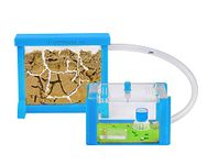 AntHouse - 3D Sky Blue Sand Ant Hill- Basic Kit | Sandwich (12x10x1 cm) + Forage Box (18x10x5 cm) | Ant Farm