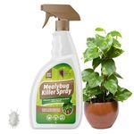Mealybug Killer Spray 1L - Bug Spray with Insecticidal Soap for Indoor Plants - Effective Plant Insecticide to Target Mealybugs - Easy-to-Use House Plants Bug Killer Treatment for Vibrant Growth