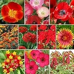 UtopiaSeeds Red Wildflower Seed Mix