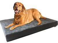 Dogbed4less Orthopedic Gel Infused Cooling Memory Foam Dog Bed for Medium to Large Pet, Waterproof Liner, MicroSuede Gray cover, 47X29X4 Inch (Fit 48X30 crate)