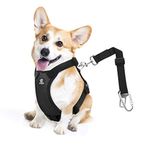 VavoPaw Dog Vehicle Safety Vest Harness, Adjustable Soft Padded Mesh Car Seat Belt Leash Harness with Travel Strap and Carabiner for Most Cars, Size Small, Black