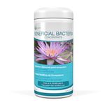 Aquascape 98949 Beneficial Bacteria for Ponds, Dry 1.1 Lbs