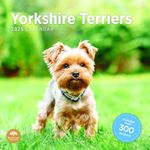 2025 Yorkshire Terriers Monthly Wall Calendar by Bright Day, Includes Over 300 Stickers, 12 x 12 Inch