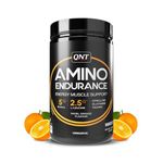 QNT Amino Endurance (BCAA)| 400g | Navel Orange flavour | 30 Servings (7g BCAA, 3.5g L-Leucine, Vitamin B6) Supports Muscle Building & Recovery