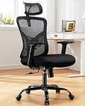 HUANUO Ergonomic Office Chair, Home