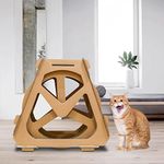 Cat Exercise Wheel