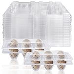 FIGFYOU Pack of 50 Quail Egg Boxes Reusable Quail Eggs Cartons 6 Grids Plastic Quail Egg Boxes Transparent Quail Egg Boxes Small Eggs Trays Egg Box for Quail Eggs, Bulk Egg Pack