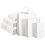 TOMNK 120pcs White Paper Bags with 