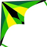 Laruita Delta Kite for Kids & Adults,Beginner Kites for Kids Age 4-8,Easy to Fly Kite,Comes with 200ft String Kite Handle (Green)