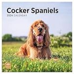 2024 Cocker Spaniels Monthly Wall Calendar by Bright Day, 12 x 12 Inch