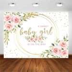 Avezano Floral Baby Shower Backdrop for Girl A Sweet Baby Girl is on The Way Backdrop It's a Girl Pink Flower Baby Shower Party Background Decoration Photo Booth Props (7x5ft)