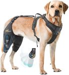 Dollephi Dog Knee Brace for torn ac