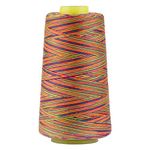 Rainbow Polyester Sewing Thread Variegated Used for Quilting Serger Overlock Embroidery All Purpose Connecting Threads for Sewing Machine and Hand Repair Works 3000 Yards Over The Rainbow