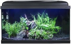 Swell Aquarium 60cm Tropical Freshw