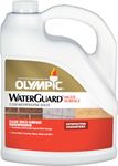 Olympic WaterGuard 1 gal. Clear Multi-Surface Exterior Waterproofing Sealer