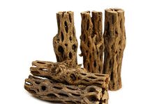 NilocG Aquatics 5 Pieces 5-6" Long Natural Cholla Wood for Aquarium Decoration By