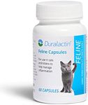 PRN Pharmacal Duralactin Feline - J