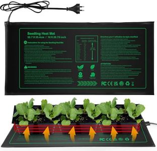 Seedling H