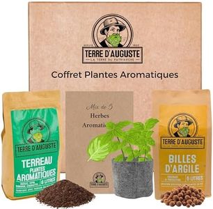 Terre d'Auguste – Coffret Plantes Aromatiques, Kit Graines à Planter, Graine Aromatique à Planter, Cadeau Ecolo pour Véritable Potager Urbain, Inclut Menthe, Basilic, Ciboulette, Thym, Persil