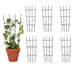 TrustBasket Metal Plant Trellis (Set of 6) Flower Branch Anti-Lodging Support Rod | Plant Support for Climbers| Indoor/Outdoor | for Balcony, Living Room Decor