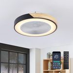 Depuley Ceiling Fans with Lights: 50cm Ceiling Fan - Reversible 6 Speeds Ceiling Fan Lights with Remote Control - Slient Motor Ceiling Light Fans Dimmable Black Wood