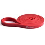 Polygon Pull Up Assist Resistance Exercise Bands, Heavy Duty Assistance Loop Mobility Band, for Body Stretching, Muscle Toning, Powerlifting, Resistance Training, Physical Therapy, Home Workout(Red)