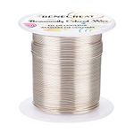 BENECREAT 20 Gauge 32 Yards Tarnish Resistant Silver Wire Jewelry Beading Wire for Beading Wrapping and Other Jewelry Craft Making