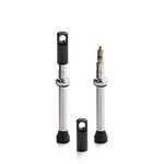 BW Tubeless Presta Valve Stems with Integrated Valve Core Tool - MTB and Road Bike - 60mm Silver