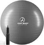 ProBody Pilates Ball Exercise Ball,