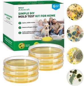 Mold Test 