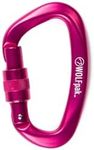 Accessory Carabiner Pink Goddess