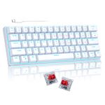 60 Percent Mechanical Gaming Keyboard, White Gaming Keyboard with Red Switches, Detachable Type-C Cable 60% Mini Keyboard with Powder Blue Light for Windows/Mac/PC/Laptop