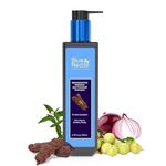 Avalon Organic Shampoo For Healthy Scalps