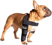 Fico Dog Elbow Brace for Front Righ