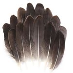 THARAHT 120pcs Natrual Gray Natrual Goose Feathers Natural bulk 6-8 inch 15-20cm for Crafts DIY Cosplay Wedding Party Halloween Decoration Goose Nagoire Feathers