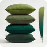 Topfinel Green Cushion Covers 40cm x 40cm Summer Sofa Bed Colorful Cushions Soft Pillow Case 16x16 Velvet Scatter Decorative Cushions Pillow Cover for Livingroom Bedroom Invisible Zipper,Set of 4