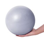 Fresion Mini Pilates Ball Exercise Ball for Yoga - 25cm Mini Yoga Ball, Core Ball,Small Workout Ball, Mini Stability Ball,Ballon Exercise Ball for Aadults