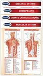 Chiropractic Medicine Guides - 4 Ch