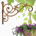 Sharpex Wall Mounted Metal Bracket | Decorative Wall Hook Plant Hanger for Hanging Pots, Bird Feeders, Flower Baskets, Planters, Lanterns, Lamps, and Wind Chimes for Indoor/Outdoor Use (Gold, 1 Pc)