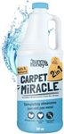 Sunny & Honey Carpet Cleaner Soluti